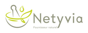 Logo NETYVIA